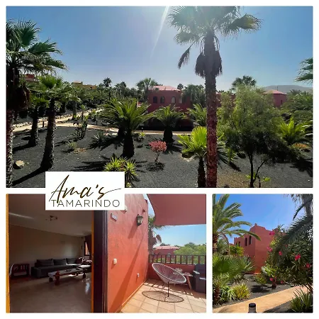 Rentalfue Tamarindo Amas Apartmán Corralejo